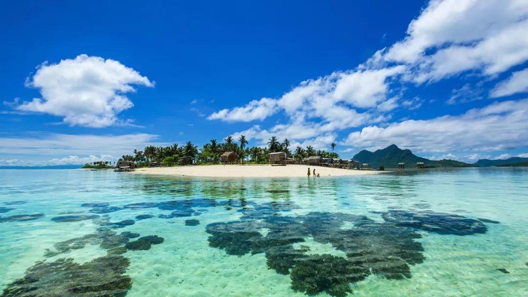 在线溶解氧监测仪